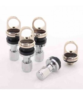 Set of JR air valves with TPMS sensor holder v1