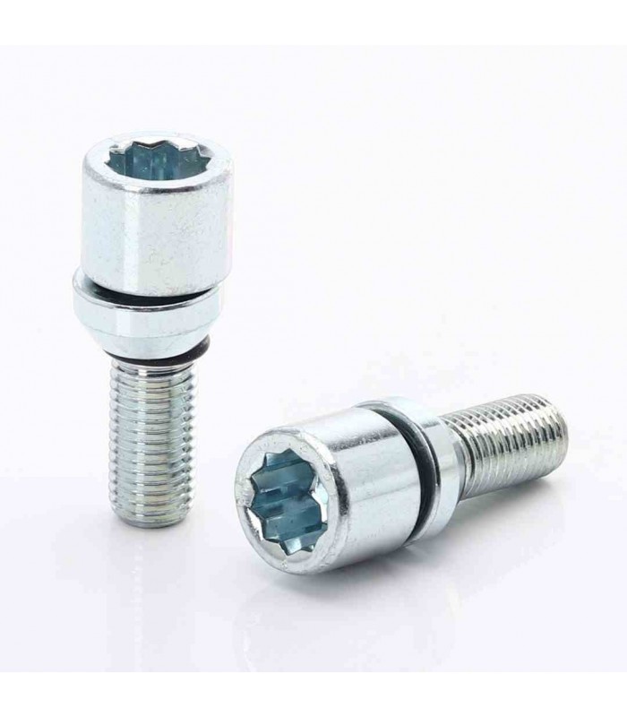 Set of 20 SILVER Changeable star bolts 12x1,5