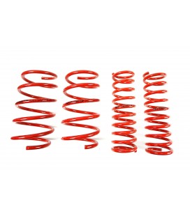 BMW 5 Series / E34 Sedan 1988-1995 3540/35mm MTS Lowering Springs MTSXBM138