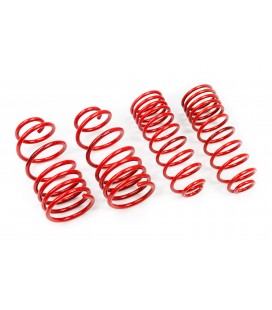 Nissan Juke (F15) 2010-2019 35/35mm MTS Lowering Springs MTSXNI036