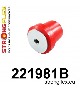 221981B: Rear beam bush