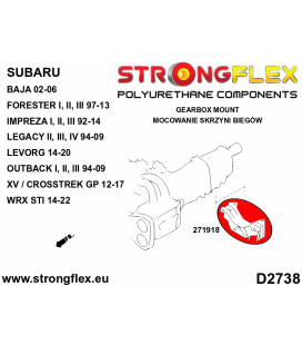 271918B: Gearbox mount