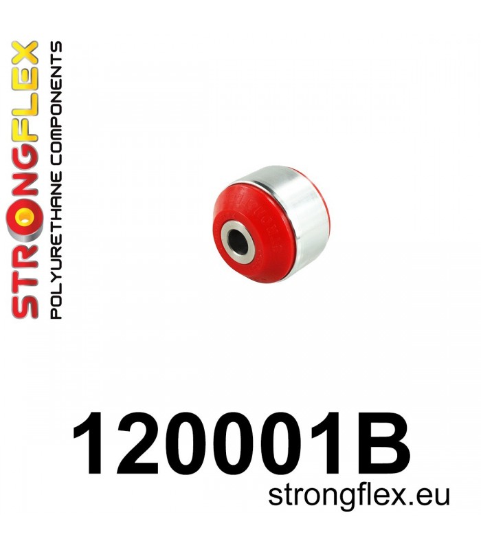 120001B: Front control arm – rear bush