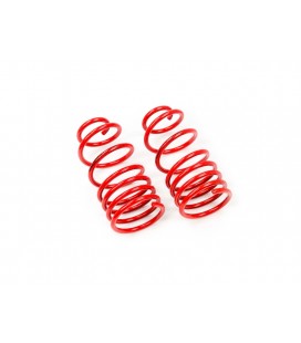 BMW 5 Series / E61 Kombi 2004-2010 30/- mm MTS Lowering Springs MTSXBM051