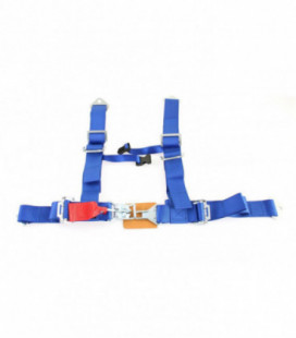 Racing seat belts 4p 2" Blue - DTM