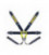 Racing Seat Belts Sabelt Formula Gold 6-points (CCG633FNU) FIA