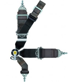 Racing Seat Belts Sabelt Saloon Gold 8-points (CCG833SND) FIA