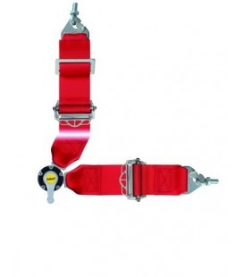 Racing Seat Belts Sabelt Saloon Silver 4-points (CCA433S...U) FIA