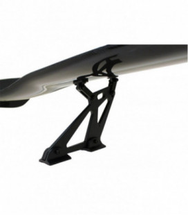 Rear wing CARBON 02