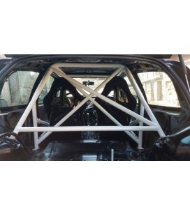 Rollbar Renault Clio II - screw cage