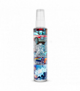 RR CUSTOMS Car scents 100 ml - Ice Berg smell