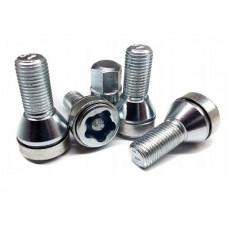 Anti-theft bolts/nuts